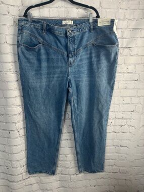 Abercrombie & Fitch 90’s Straight Ultra High Rise Jeans 22 Short